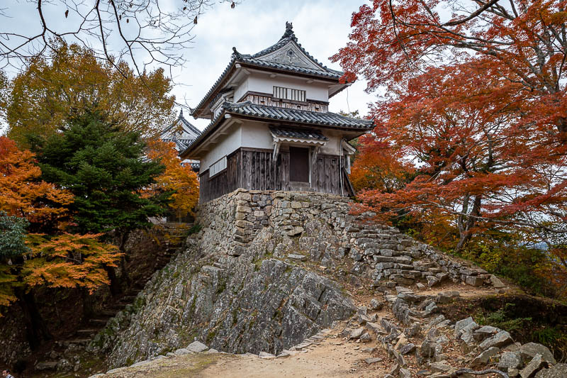 Japan-Okayama-Castle-Hiking - The hunt for the castle cat