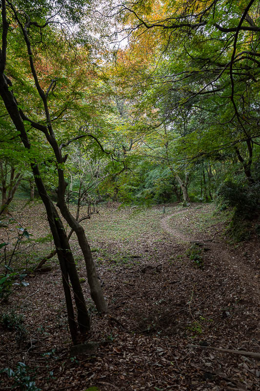 Japan-Okayama-Castle-Hiking - There were some nice bits of hiking trail between castle and castle lookout and car parks and roads and forest access roads.