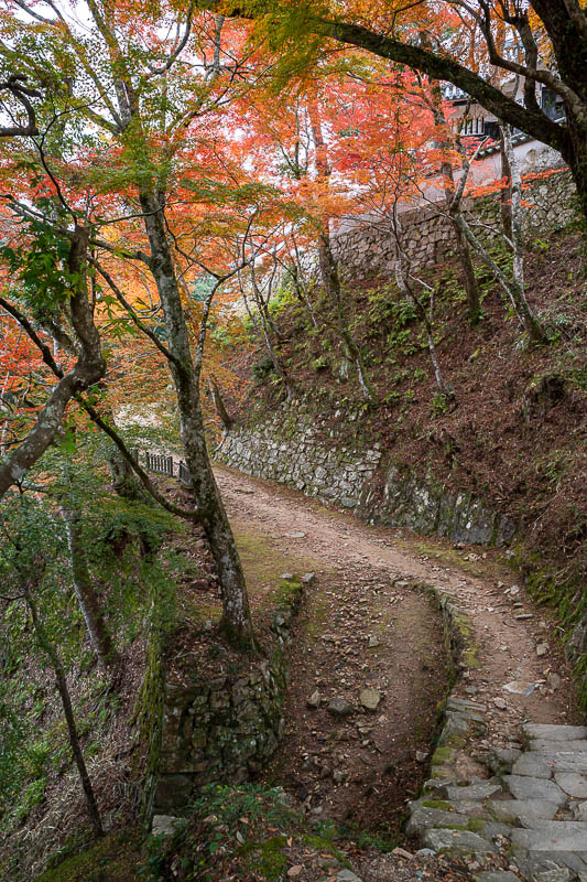 Japan-Okayama-Castle-Hiking - Back at the castle, and it was time for a bit more autumn leaf colour.
