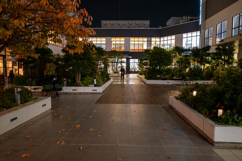 Trip 13 to Japan - October and November 2025 - There is a roof garden, with no view. Schoolgirls were practising their dance moves, photographing that is too risky for me, I did not have my passpor