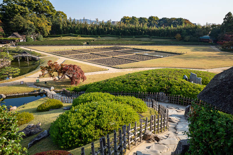 Trip 13 to Japan - October and November 2025 - Also, they seem to have a farm on the go.