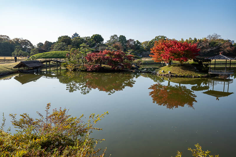 Trip 13 to Japan - October and November 2025 - Too far away from the action for a great photo.