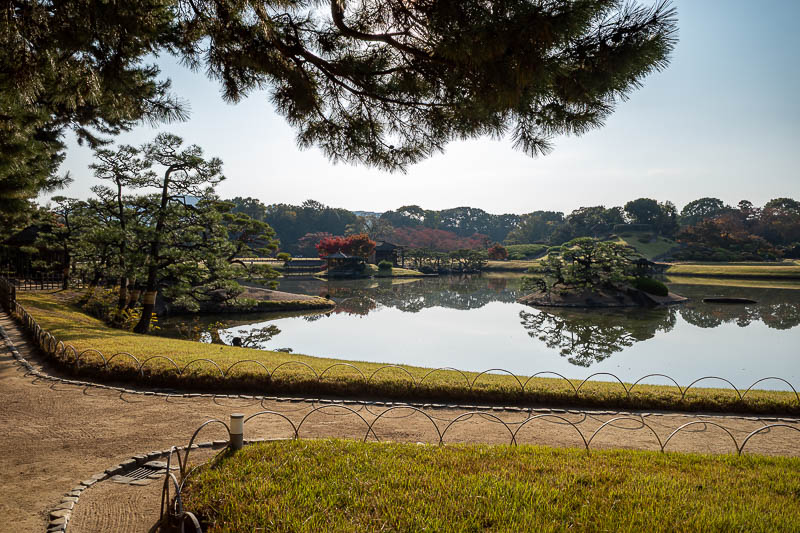 Trip 13 to Japan - October and November 2025 - A lot of sun, brown water and grass.