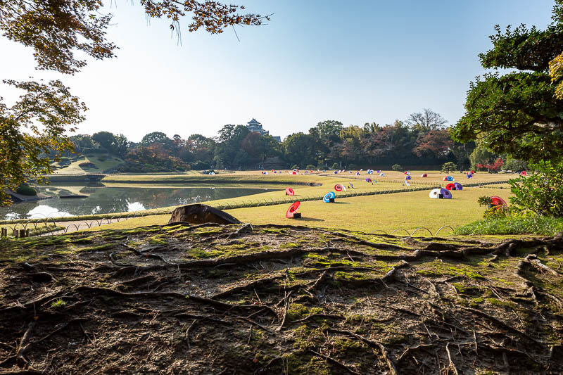 Trip 13 to Japan - October and November 2025 - I really do think they have tried to make it a bit less grassy by adding the umbrellas.
