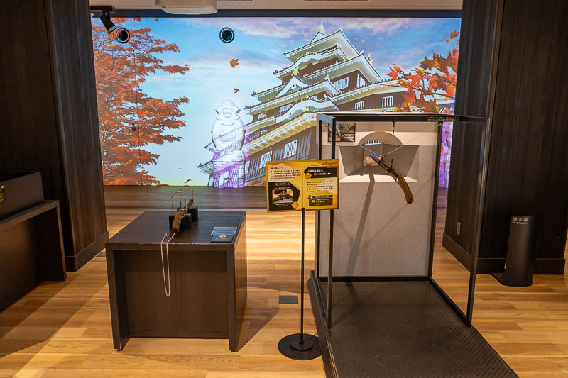 Trip 13 to Japan - October and November 2025 - This is actually a game where you shoot birds. Unexpected.