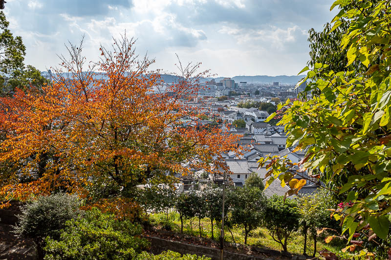 Trip 13 to Japan - October and November 2025 - Down there is the historic quarter. Which means 3/4 of Kurashiki is not historic. They need to cut a tree down.