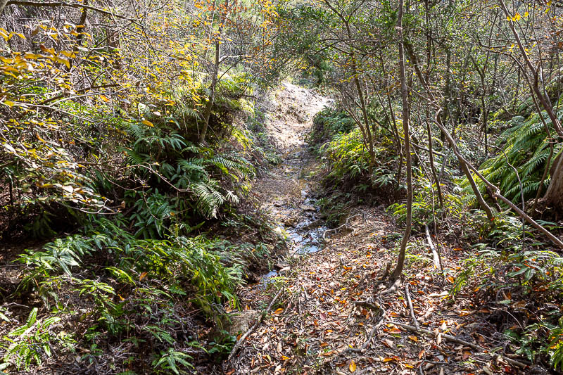 Trip 13 to Japan - October and November 2025 - Parts of it were sandy and wet.