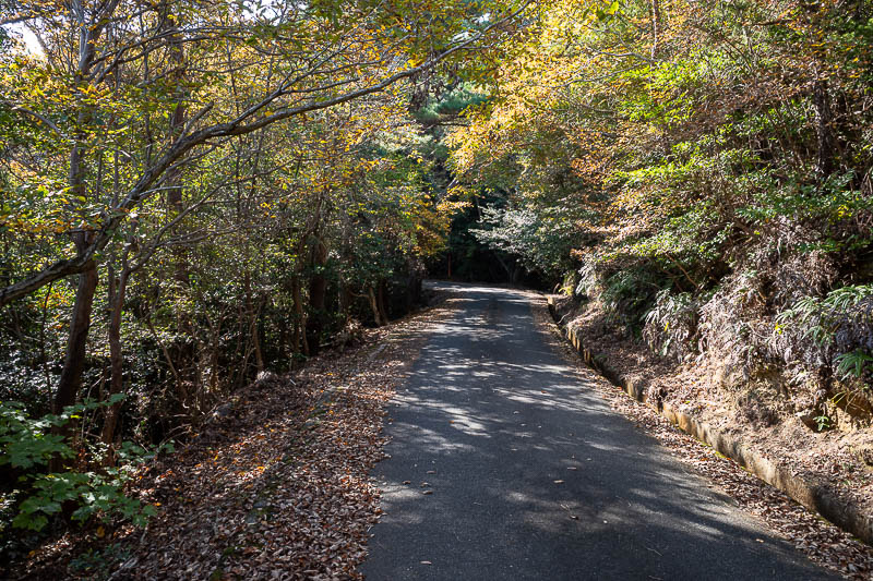 Trip 13 to Japan - October and November 2025 - Behold, the road. Still no other people.