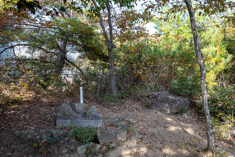 Trip 13 to Japan - October and November 2025 - Terrible photo, but it is the summit marker of the highest summit of the day. No view from the summit.