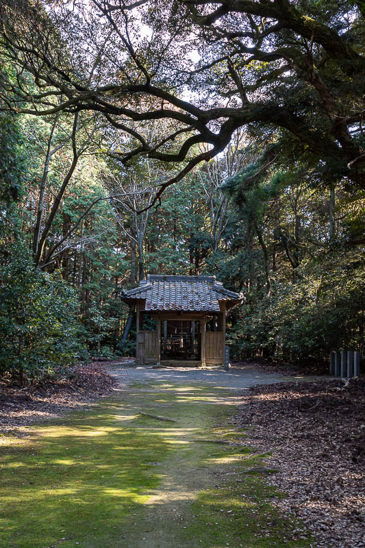 Trip 13 to Japan - October and November 2025 - There are a lot of little structures around the top, and a few designated culturally significant trees.