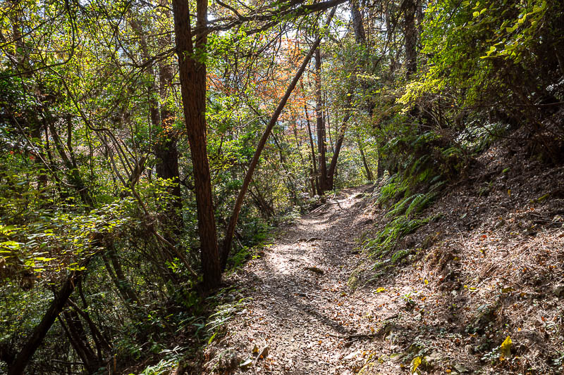 Trip 13 to Japan - October and November 2025 - The trail down was really great too.