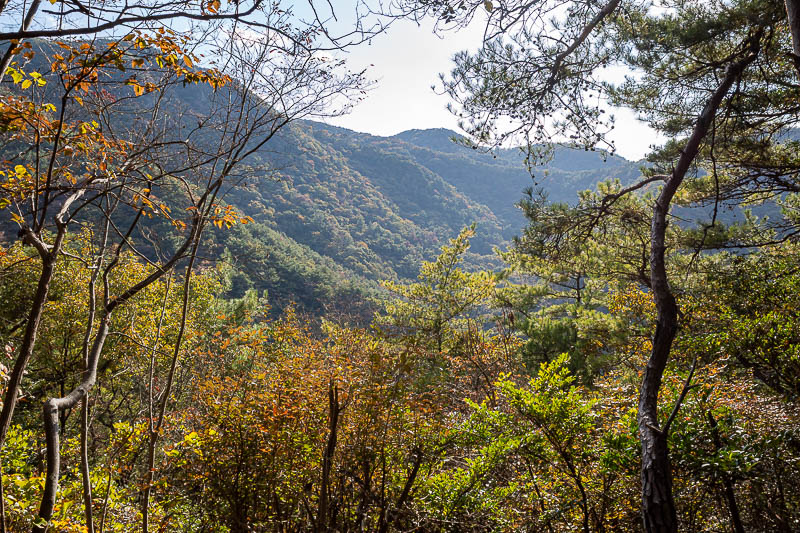 Trip 13 to Japan - October and November 2025 - I guess I came down from up there somewhere.