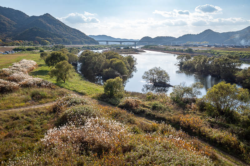 Trip 13 to Japan - October and November 2025 - Great view from the bridge too. A shame about those cars on the left, I tried cropping them out but then it removes the nice vegetation on the left to