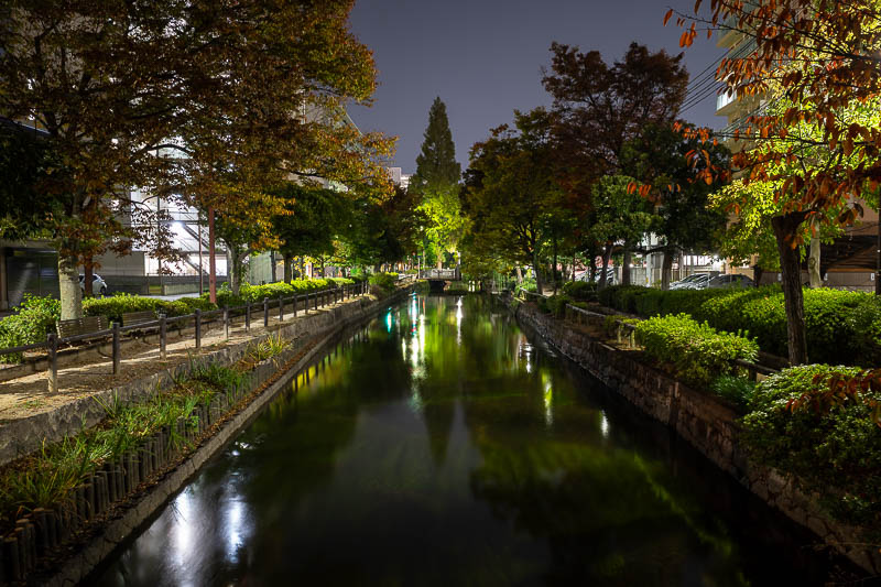 Japan-Okayama-Doria - A lot of potato