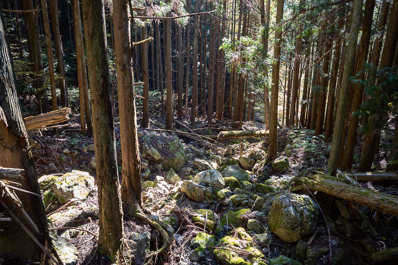 Japan-Tokyo-Hiking-Mount Odake - I was glad to leave the river behind, it was hard going at first.