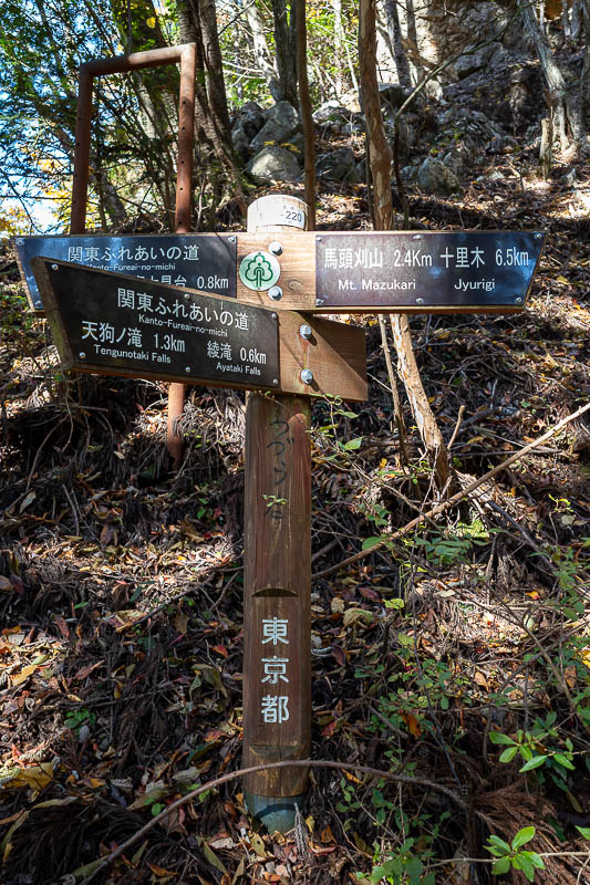 Japan-Tokyo-Hiking-Mount Odake - There are numerous trails you can choose from, so a map would help. I had downloaded one and was following a course someone had completed yesterday on