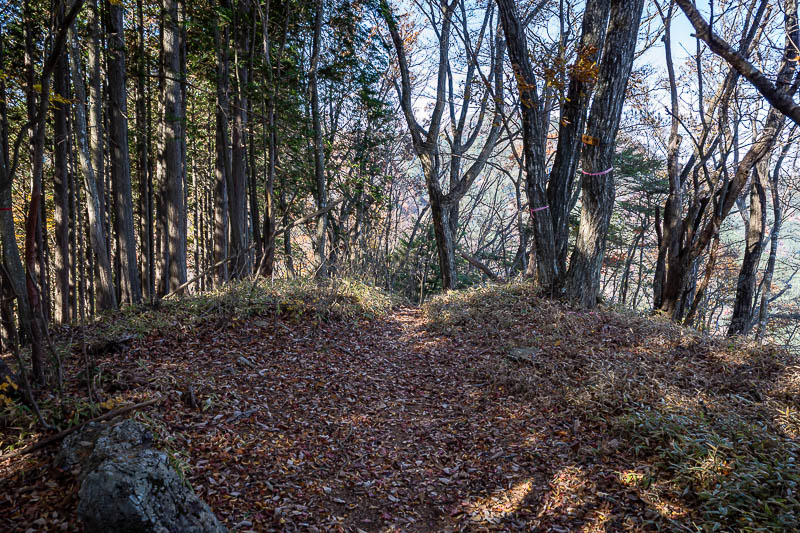 Japan-Tokyo-Hiking-Mount Odake - I diverted slightly to go to this summit before doubling back to my desired trail. No view, not worth the effort.