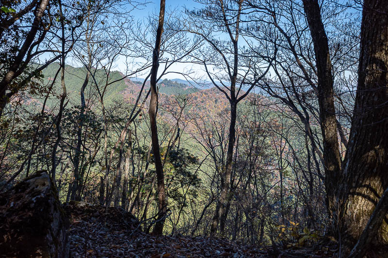 Japan-Tokyo-Hiking-Mount Odake - The first third of the day really did not have many views. Across from here, not that you can see it, is Mitake shrine.
