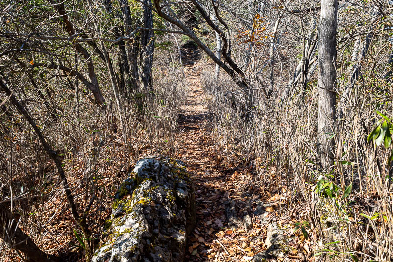 Japan-Tokyo-Hiking-Mount Odake - The trail started to get good, getting up to here was very strenuous.