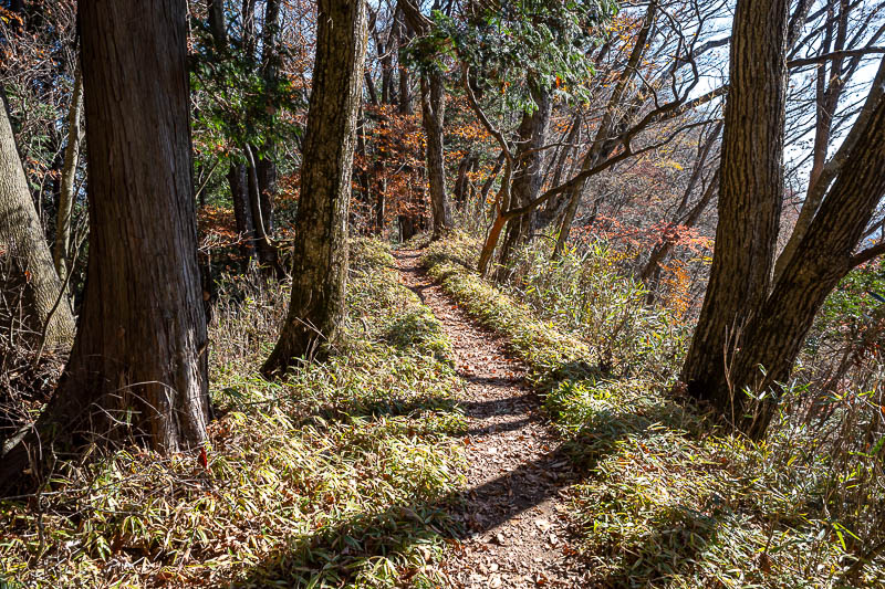 Japan-Tokyo-Hiking-Mount Odake - Some really nice areas to run through today, with zero spiders.
