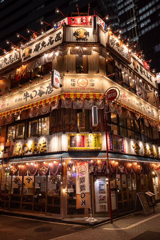 Japan-Tokyo-Yurakucho-Shimbashi - Multi level seafood restaurants always do the most external decorating. The top floor has some kind of strobe light situation going on.