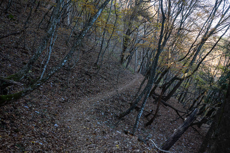 Japan-Tokyo-Hiking-Mount Odake - Example of a nice smooth bit of trail without rocks.