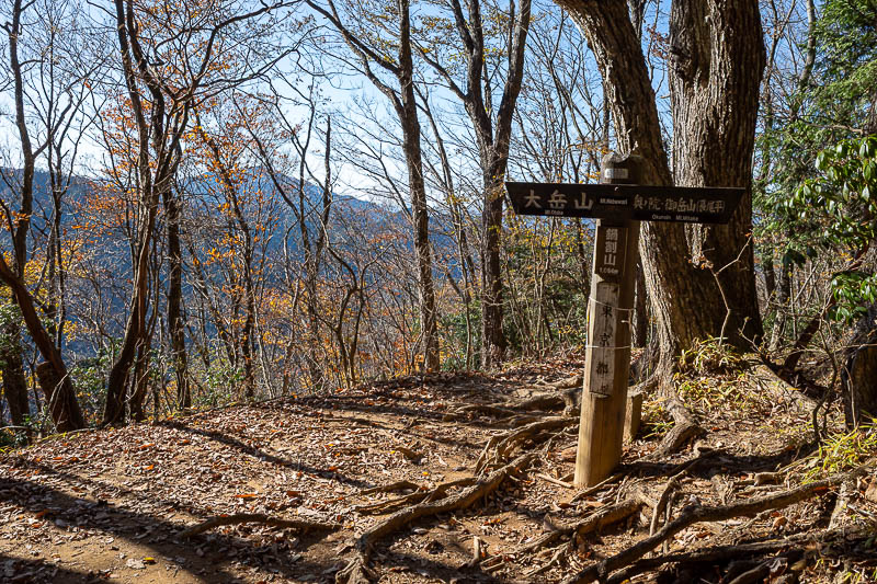 Japan-Tokyo-Hiking-Mount Odake - Time to join the main trail to Mitake.