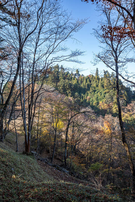 Japan-Tokyo-Hiking-Mount Odake - I will now go up there to Mitake shrine.