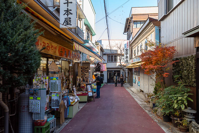 Japan-Tokyo-Hiking-Mount Odake - The top of this mountain has a shopping street. 2 in fact.