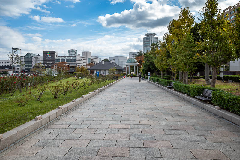 Japan-Tokyo-Yokosuka-Museum - There is a rose garden, with very dark red almost black roses.