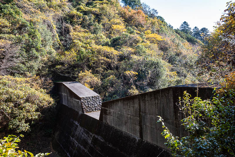 Japan-Tokyo-Hiking-Mount Takamizu - Something about the light is making everything yellow.