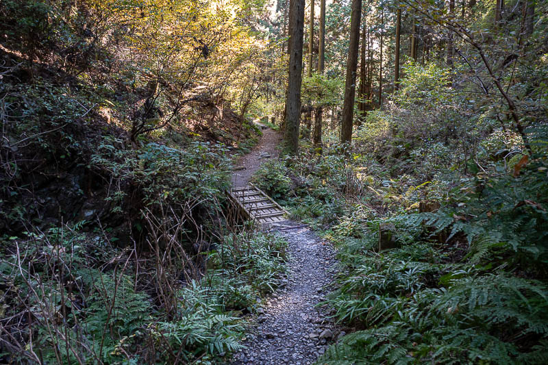 Japan-Tokyo-Hiking-Mount Takamizu - Time to unleash the bear bell one last time and start clapping intermittently.
