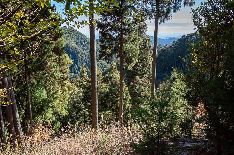 Japan-Tokyo-Hiking-Mount Takamizu - Tokyo is down there, but you cannot see it in this photo.