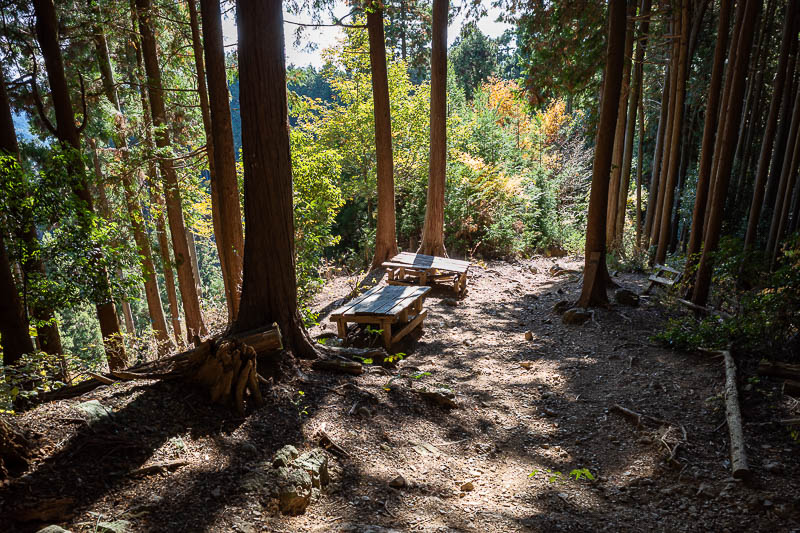 Japan-Tokyo-Hiking-Mount Takamizu - Despite this being a short hike with a giant shrine complex in the middle (coming up shortly), the trail is a proper trail, complete with trail furnit