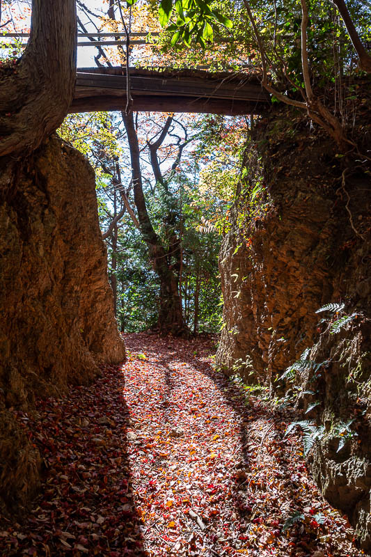 Japan-Tokyo-Hiking-Mount Takamizu - I remembered this weird wall and bridge from last time, it does not seem to serve much purpose.