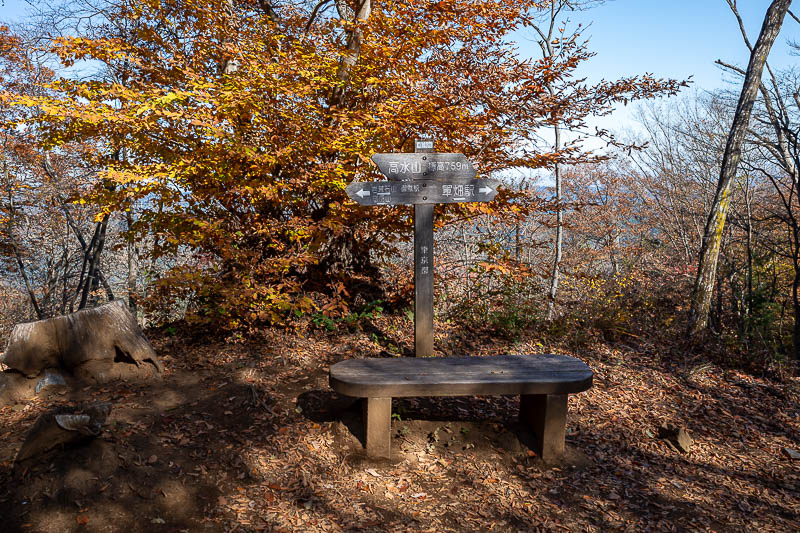 Japan-Tokyo-Hiking-Mount Takamizu - This is the main summit of the day, Takamizu, but there is also Iwatekeishi and Sogaku.