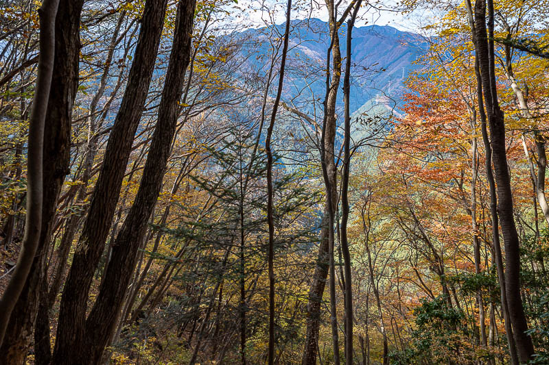 Japan-Tokyo-Hiking-Mount Takamizu - Bonus leaf and mountain pic.