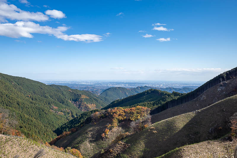 Japan-Tokyo-Hiking-Mount Takamizu - I now entered a heavily logged area, Tokyo is down there. Not much smog today.