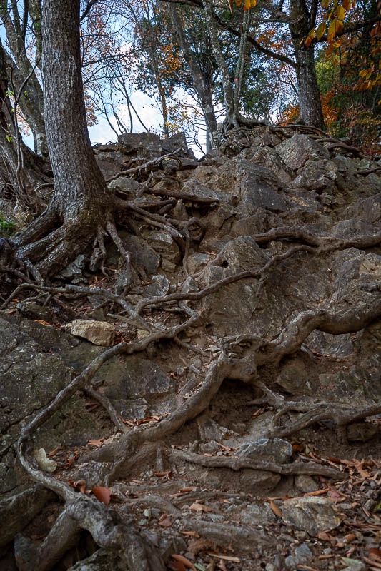 Japan-Tokyo-Hiking-Mount Takamizu - But then, some more rocks. One last chance to plummet on this trip. I did not plummet.