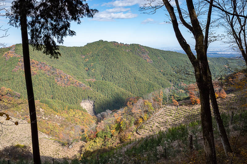 Japan-Tokyo-Hiking-Mount Takamizu - I think that's basically the way I had come up and around from.