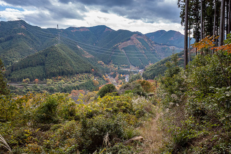 Japan-Tokyo-Hiking-Mount Takamizu - The bears did not get me