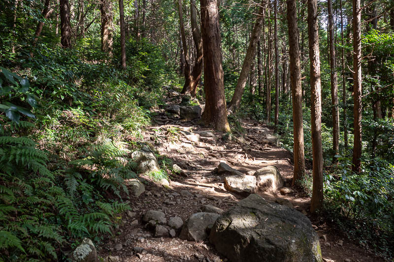 Japan-Tokyo-Hiking-Mount Tsukuba - It is a very nice trail, with all the different styles of Japanese hiking trail on one hike.