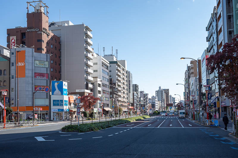 Japan-Tokyo-Walking-Yamanote - I had to wait to cross quite a lot of roads, this added substantial time to the day.