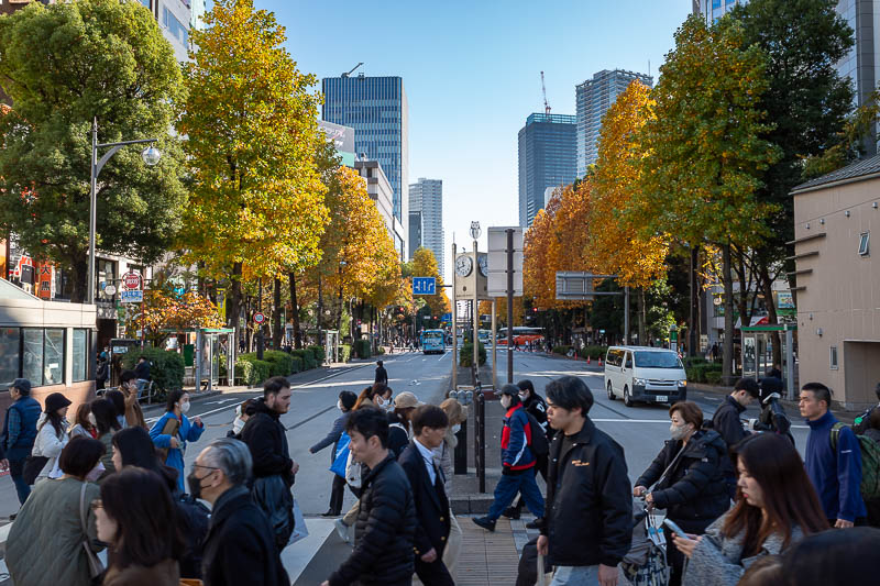 Japan-Tokyo-Walking-Yamanote - Nice trees, suitably yellow.