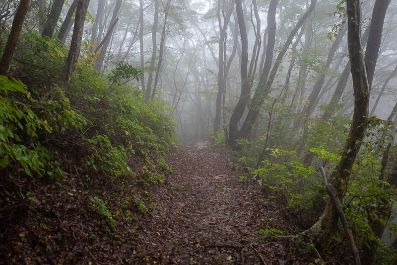 Japan-Tokyo-Hiking-Kasama-Wakaguni - Time to descend, but still more fog.