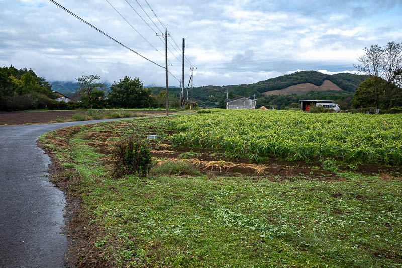 Japan-Tokyo-Hiking-Kasama-Wakaguni - Finally I came out into farms, the type bears might raid.