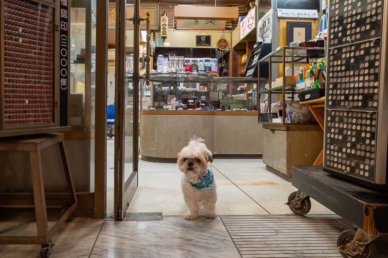 Japan-Tokyo-Kanda-Ramen - I wanted to go in here and buy a stamp for wax seals, but the dog said no.