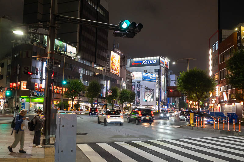 Japan-Tokyo-Kanda-Ramen - And finally, a redundant photo to end the day of a crossing near my hotel. Note the dryness of the road.