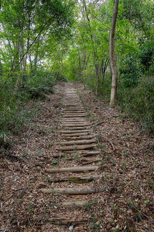 Japan-Tokyo-Hiking-Iwafuneyama-Koishiyama - After walking down a road and across a valley, it was time to go up to the main peaks of the day. Stairs at first.