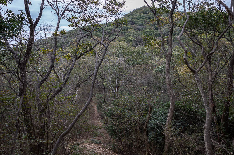 Japan-Tokyo-Hiking-Iwafuneyama-Koishiyama - However it soon became a real hiking trail. Pretty lonely along this section, I saw two little old guys coming the other way.
